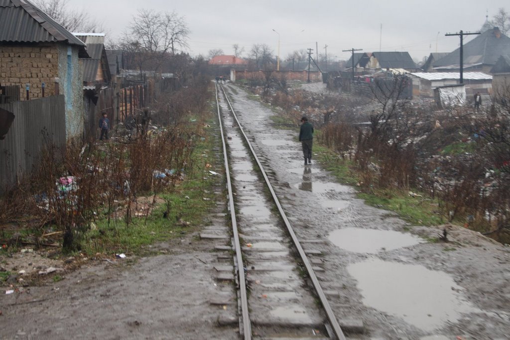 Narrow gage railway