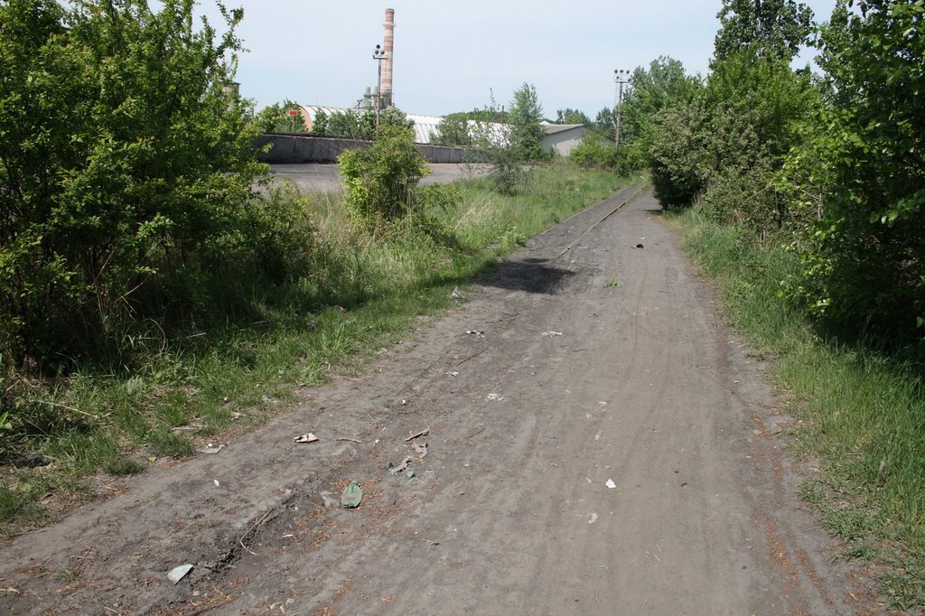 Remains of Narrow Gage Railway