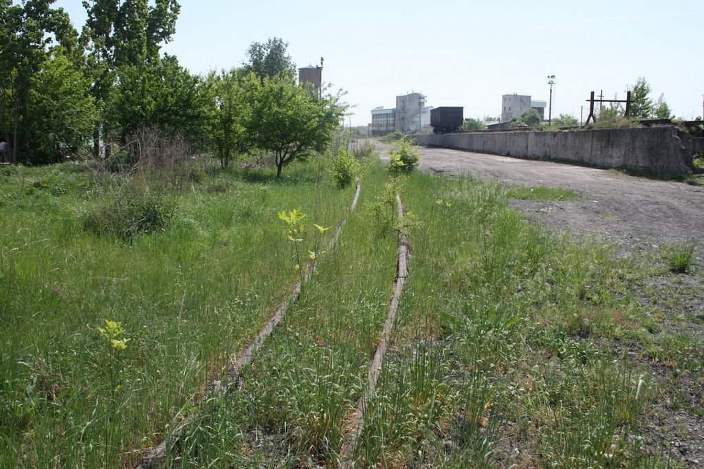 Remains of Narrow Gage Railway