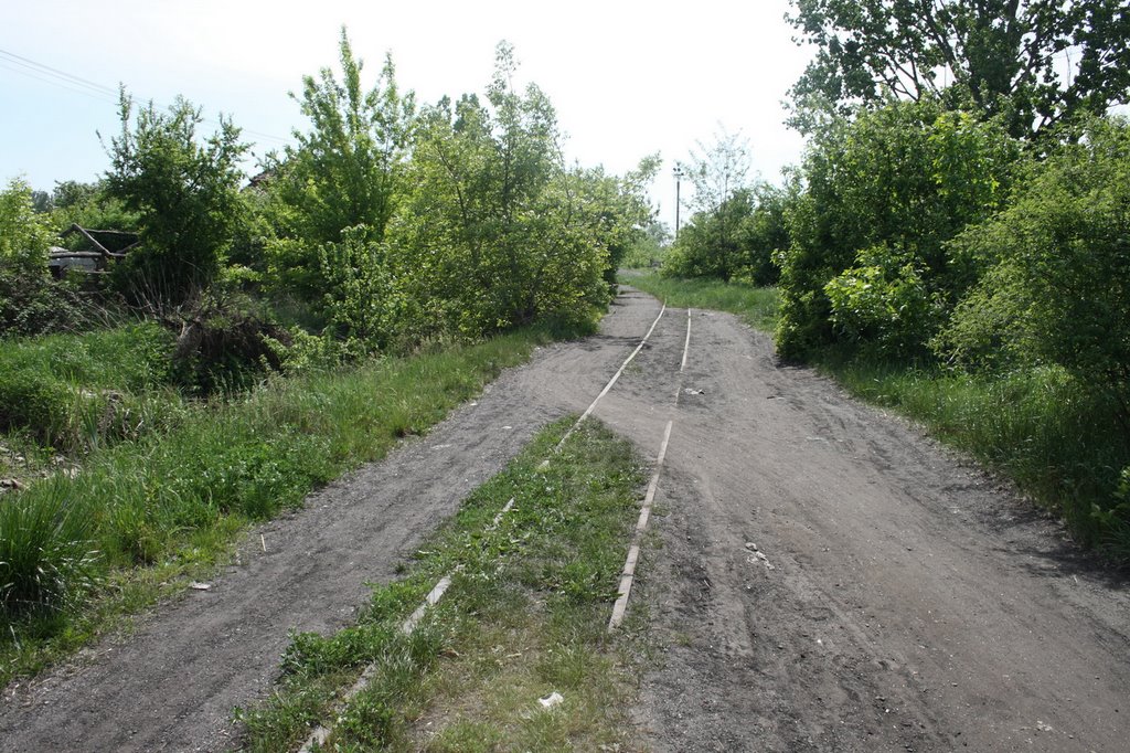 Remains of Narrow Gage Railway