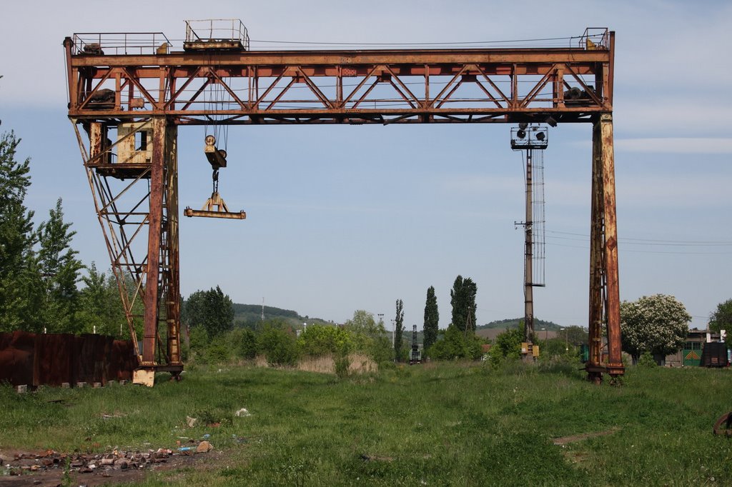 Abandoned Crane
