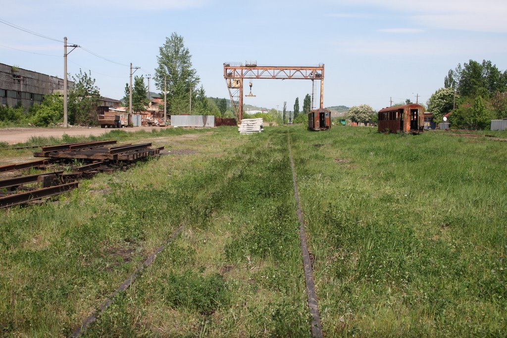 Narrow Gage Railway Station