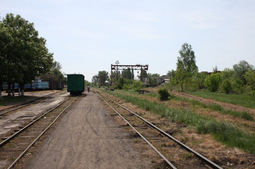 Narrow Gage Railway Station