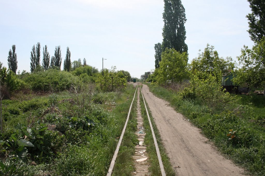 Narrow Gage Railway
