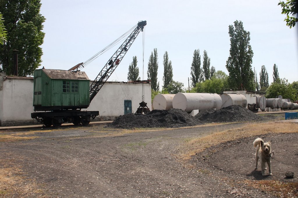 Old Railway Excavator