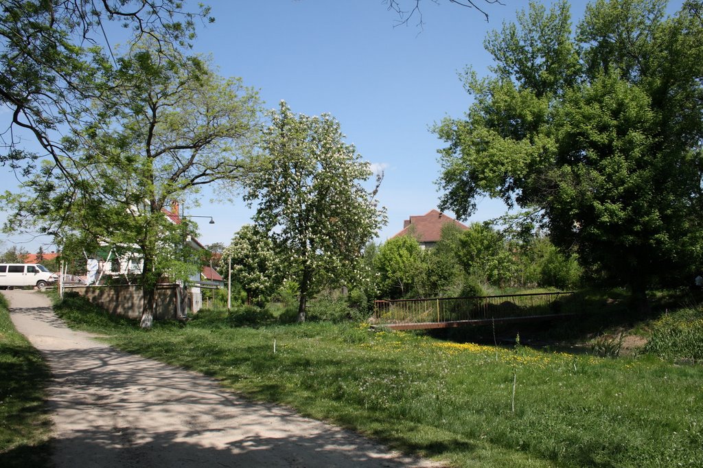 Park