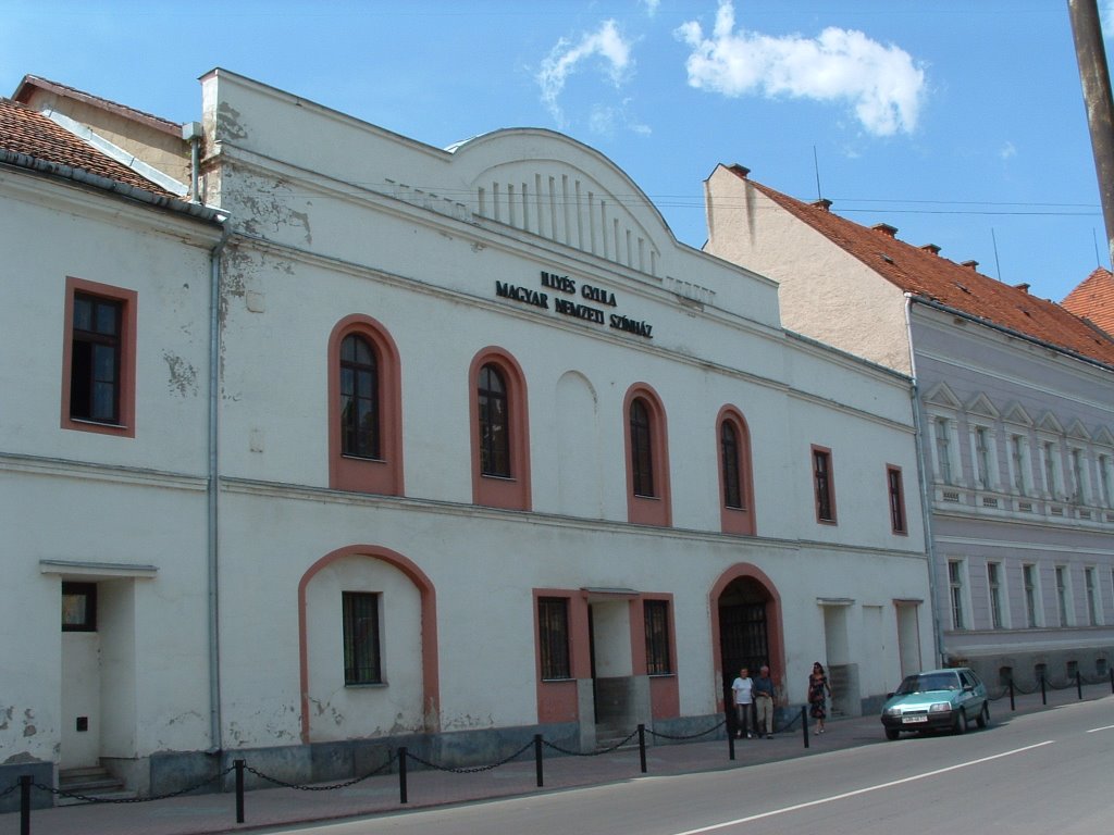 Beregszász, Illyés Gyula Színház