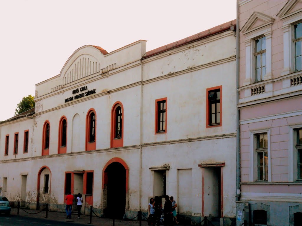 Illyes Gyula Hungarian State Theatre - Illyés Gyula Állami Magyar Nemzeti Színház