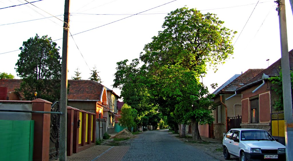 Улица Шевченко в Берегово.