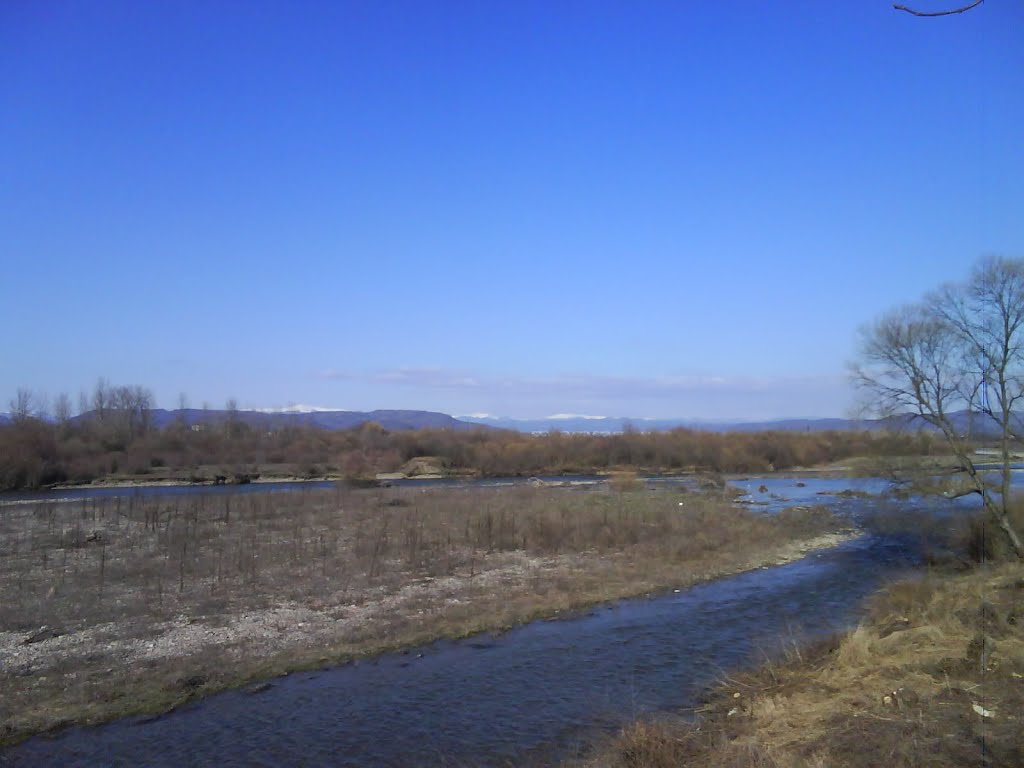 Tur