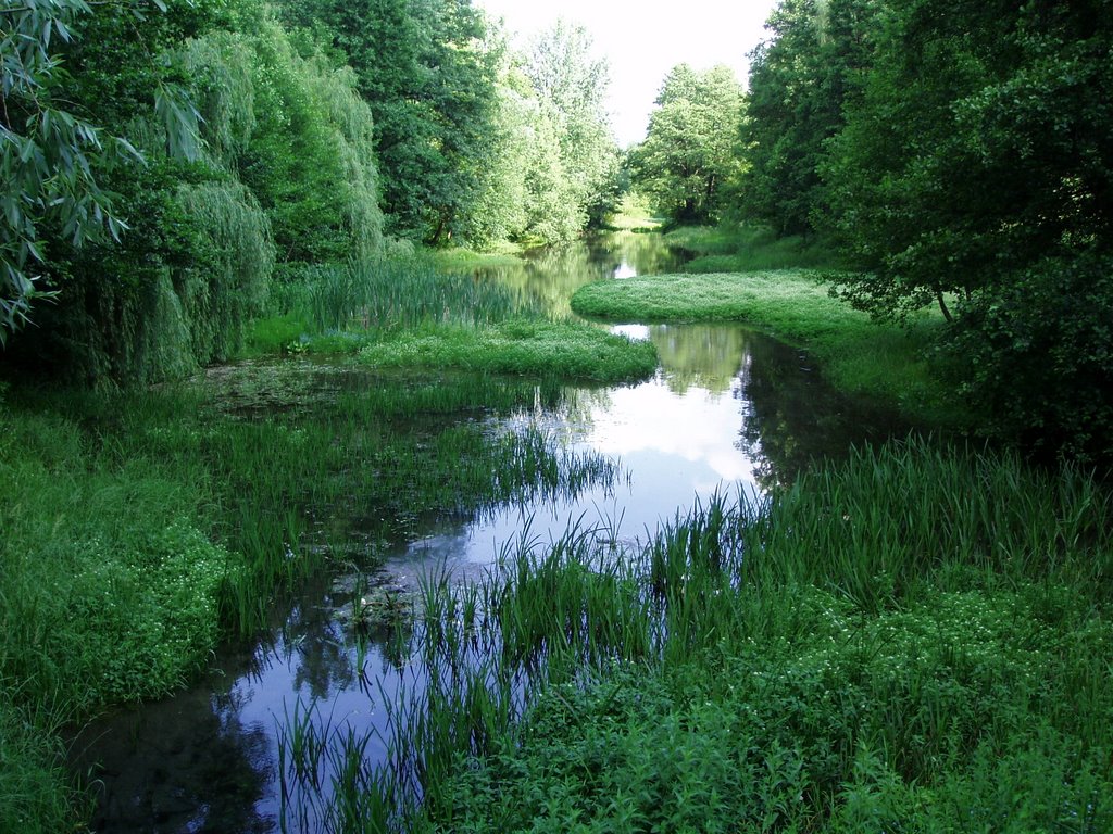 Old park