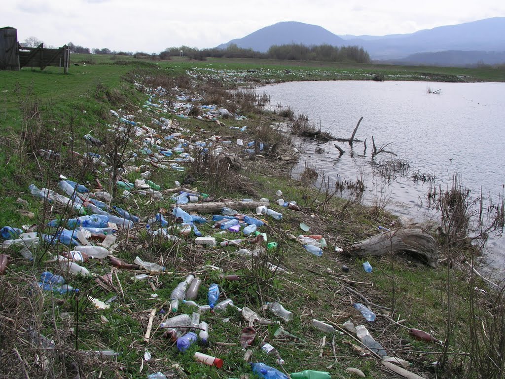 Plastic trash everywhere in the floodplain of the Tisa River