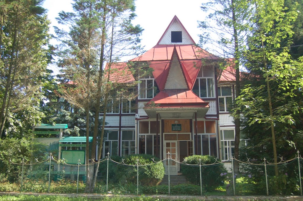 Bushtynskyy forestry