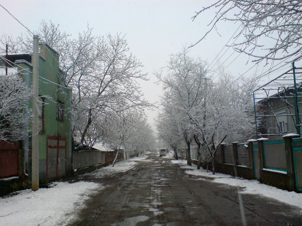 Буштино, вул. Молодіжна