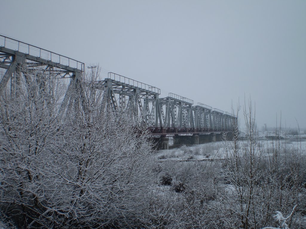 Зима