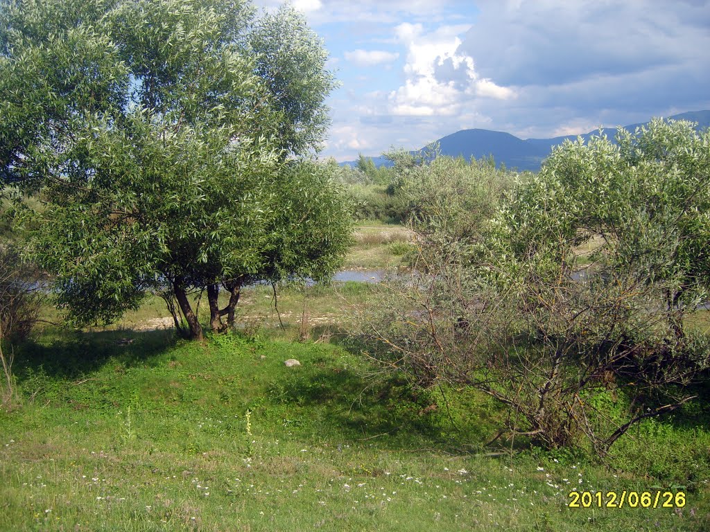 р. Теребля