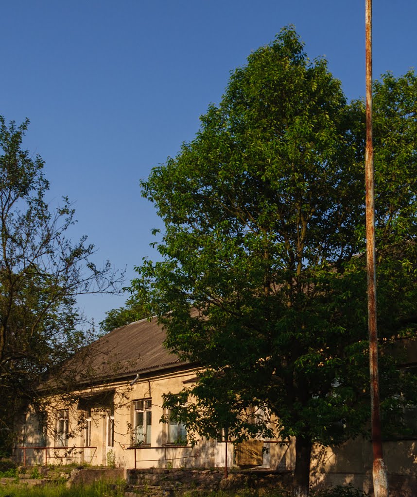 Velykyi Bereznyi