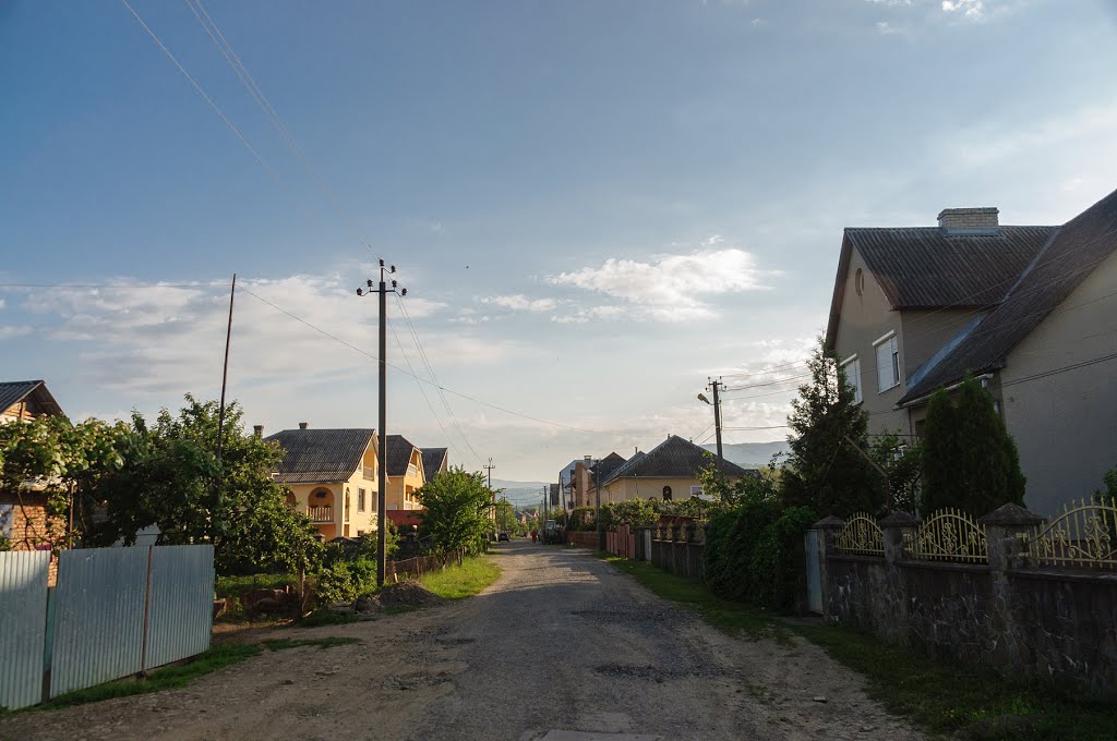 Velykyi Bereznyi