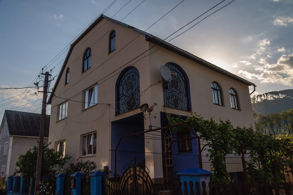 Velykyi Bereznyi