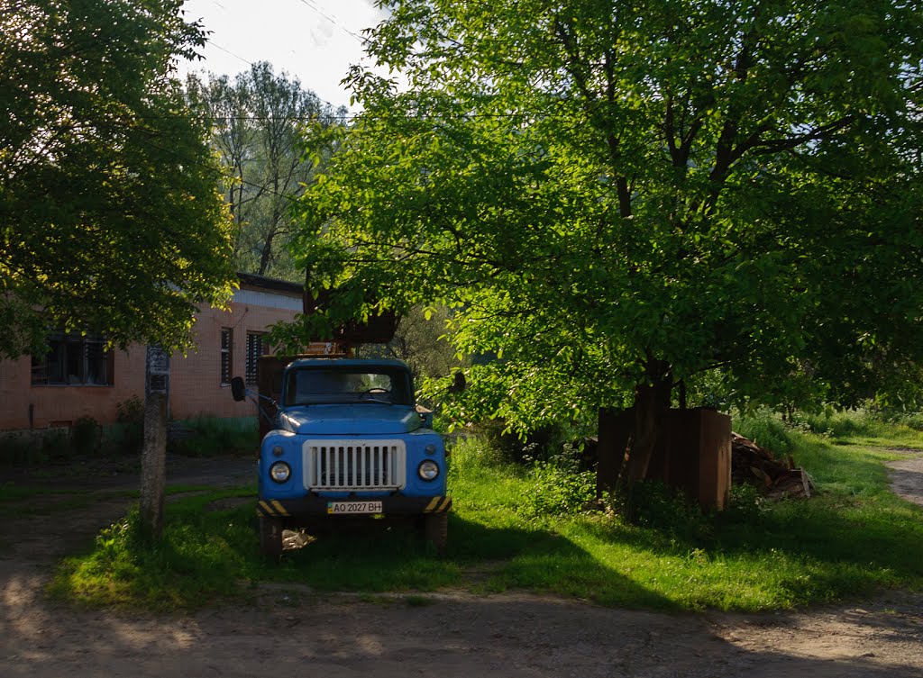 Velykyi Bereznyi