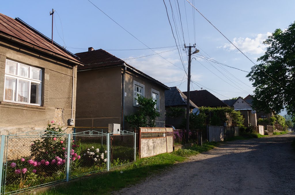 Velykyi Bereznyi