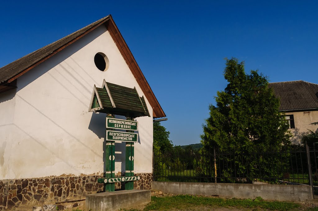 Velykyi Bereznyi