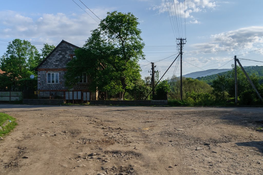 Velykyi Bereznyi