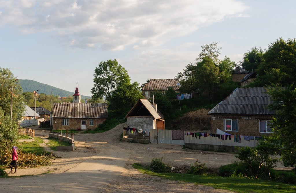 Velykyi Bereznyi
