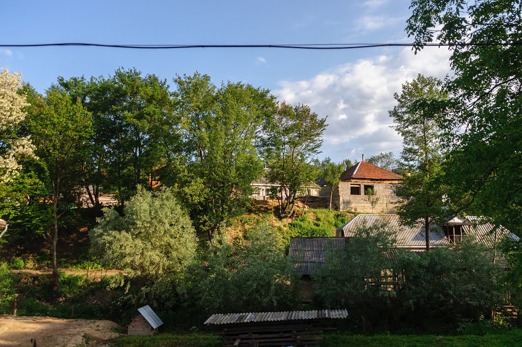Velykyi Bereznyi