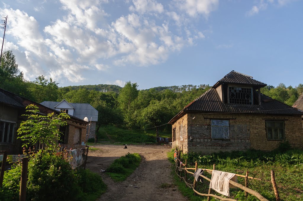 Velykyi Bereznyi
