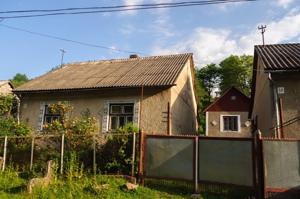 Velykyi Bereznyi