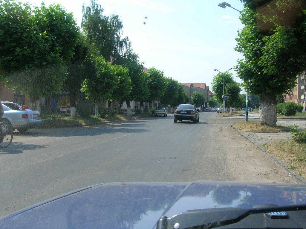 Velikiy Bereznyy. Shevchenko str. (central street)