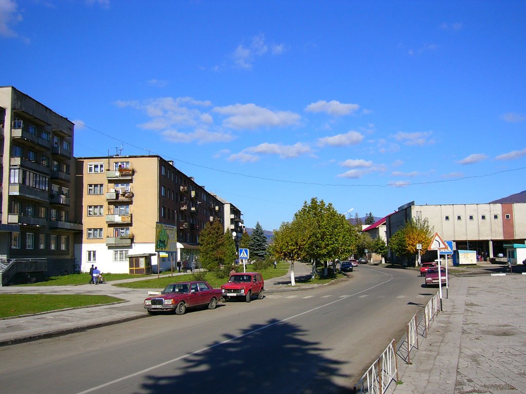 Velykiy_Bereznyi-Central_part