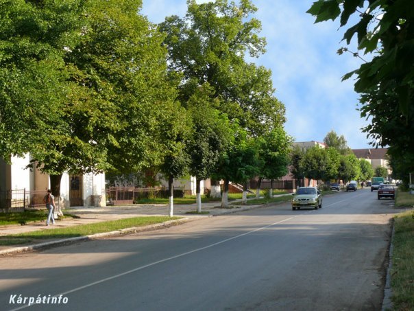 Центральна вулиця