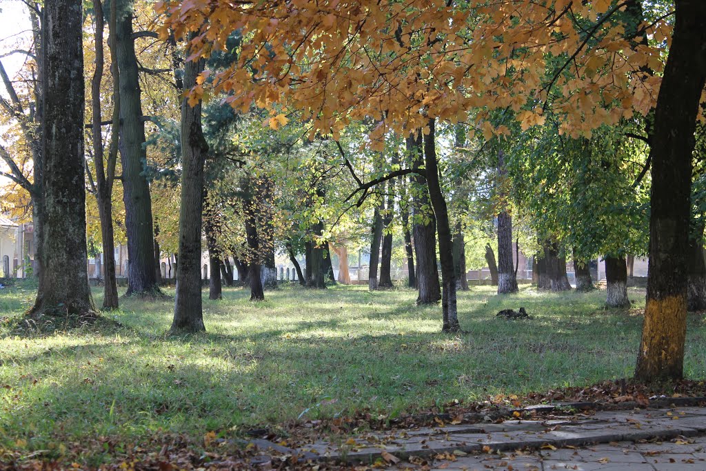 Великий Березний. Парк
