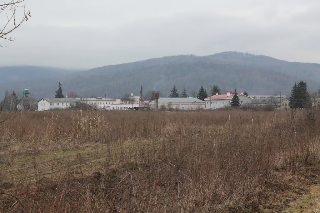 застава. Великий Березний.