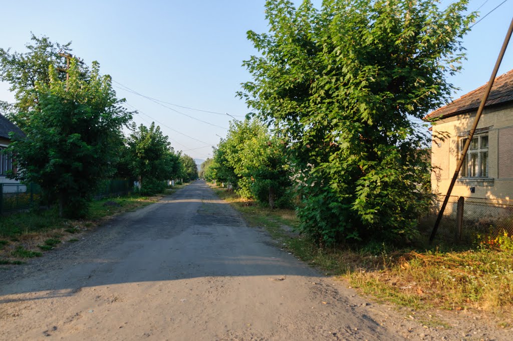 Великий Березний (Velykyj Bereznyj)
