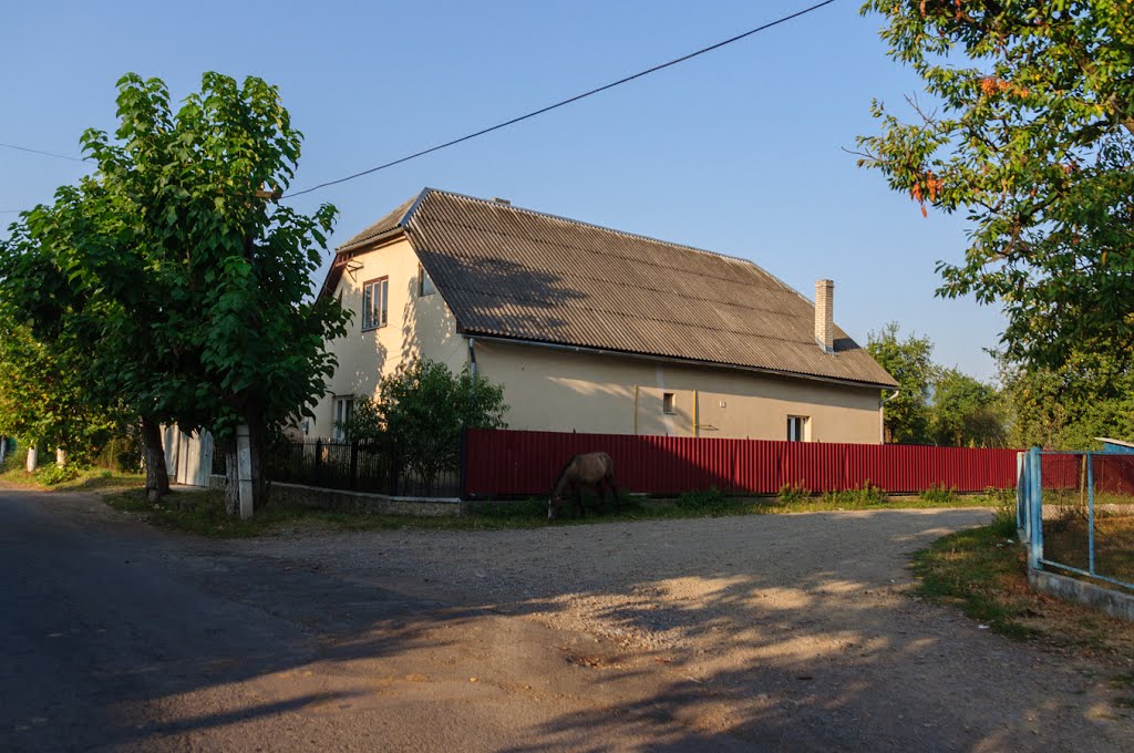 Nájdi koníka, Великий Березний (Velykyj Bereznyj)