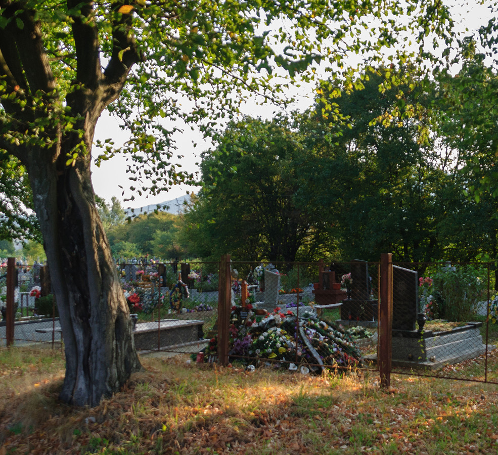 Cintorín, Великий Березний (Velykyj Bereznyj)