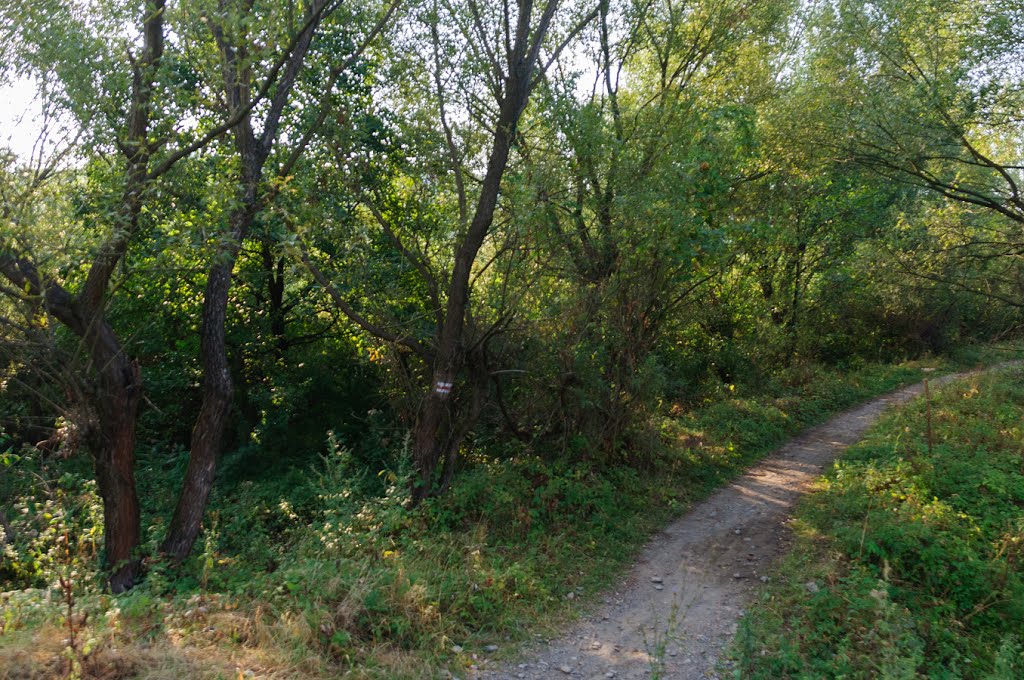 Červená TZT, Великий Березний (Velykyj Bereznyj)