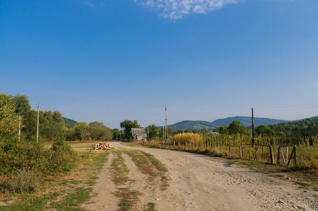 Zabriď