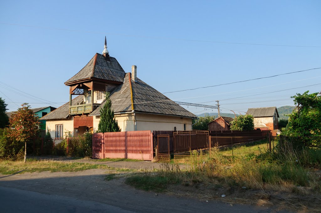 Velykyj Bereznyj