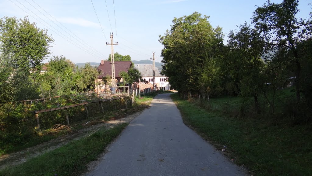 Bocicoiu Mare, Maramures
