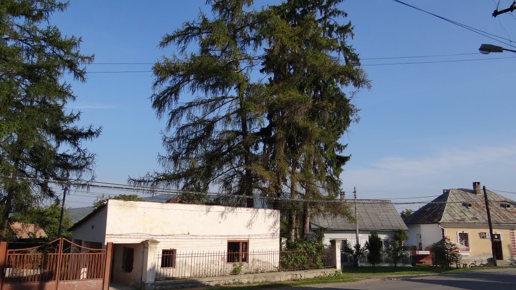 Sighetu Marmaţiei