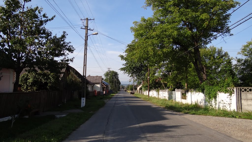 Bocicoiu Mare, Maramures