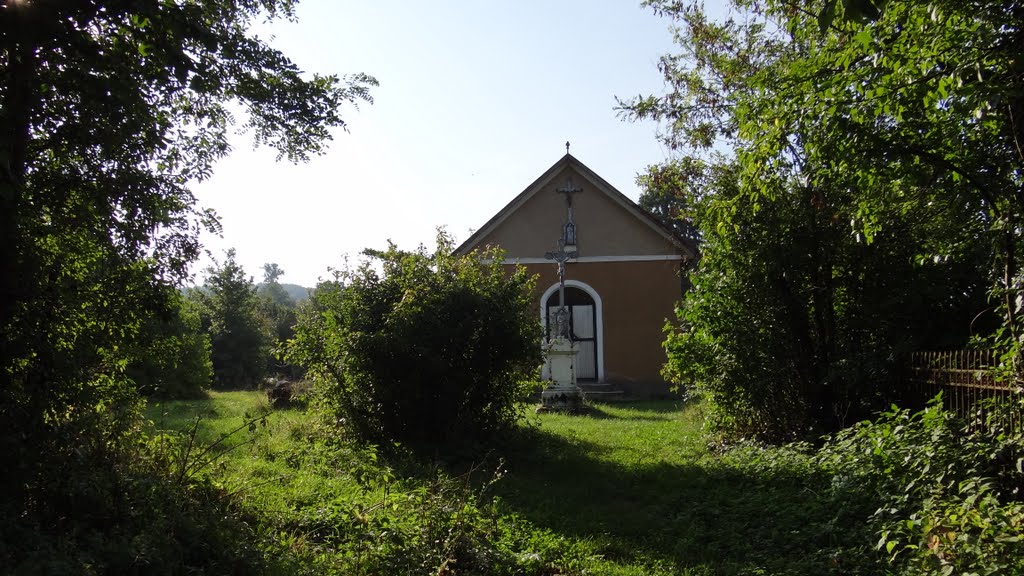 Bocicoiu Mare, Maramures