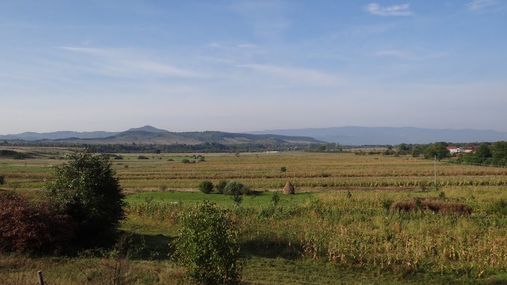 Bocicoiu Mare, Maramures