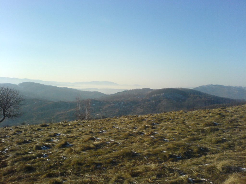 Karpathian Highlands