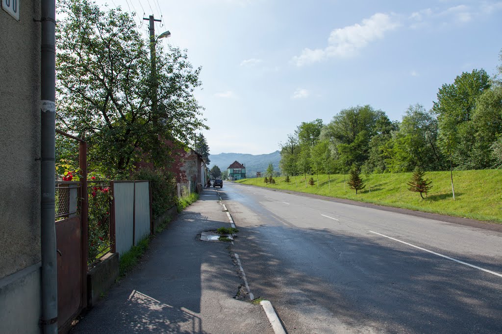 Velykyj Bychkiv 2012