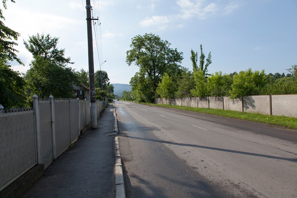 Velykyj Bychkiv 2012